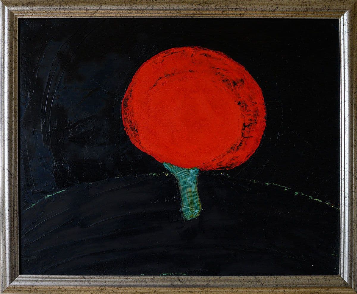 Un arbre isolé à minuit